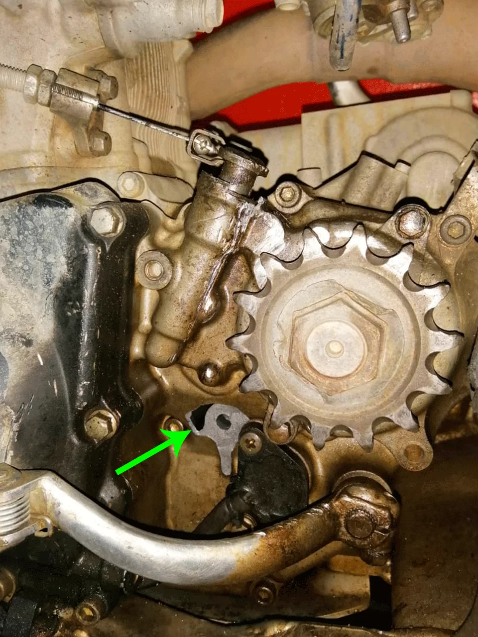 de un PILOTO de RALLY para CUIDAR tu MOTO en